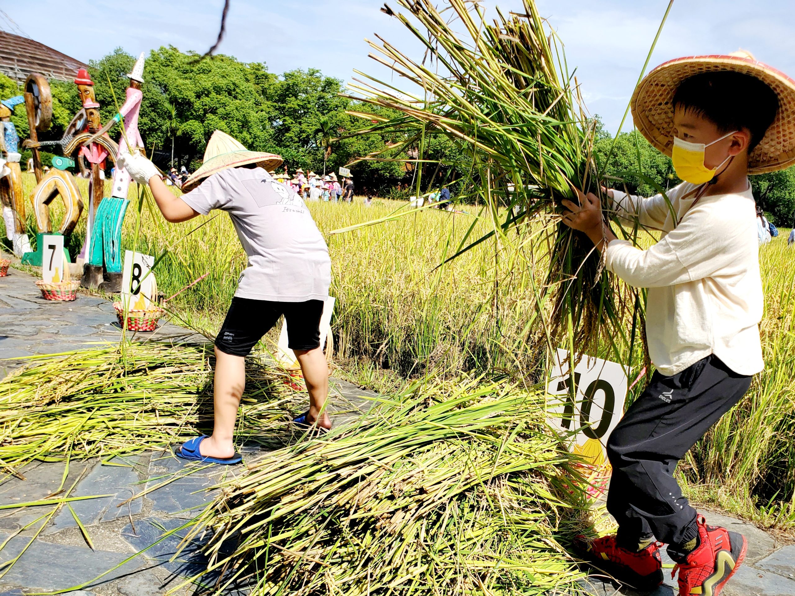 Read more about the article 六堆園區割禾了！ 小朋友玩超嗨：下次還要來